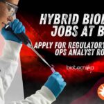 Hybrid Biology Jobs India at BD