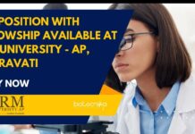 PhD Position With Fellowship