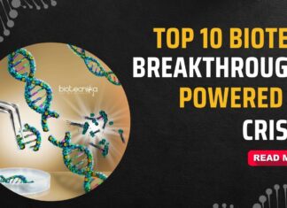 Top 10 Revolutionary Biotech Breakthroughs Powered By CRISPR Technology Top Biotech Discoveries Using CRISPR