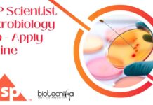 USP Scientist Microbiology Job