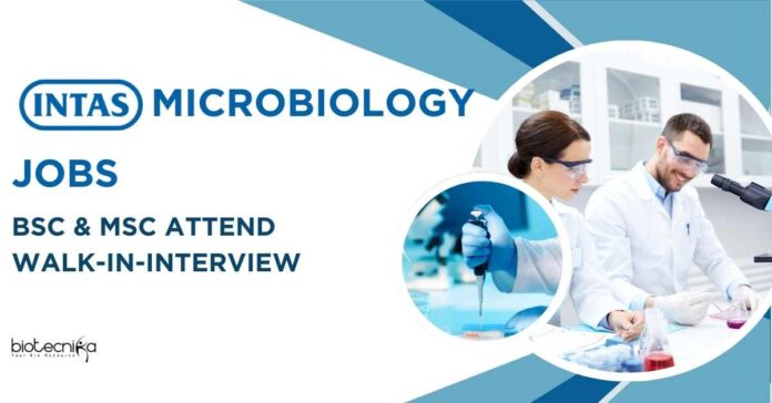 Intas Microbiology Jobs - BSc & MSc Attend Walk-In-Interview