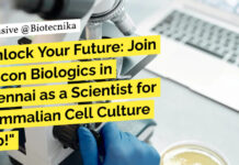 Biocon Biologics Scientist Mammalian Cell Culture Role – Apply Online Biocon Biologics Cell Biology Jobs, Apply For Scientist Mammalian Cell Culture Role