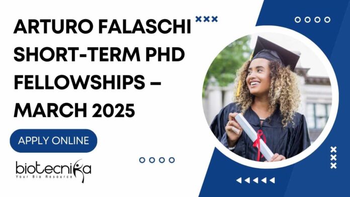Arturo Falaschi Short-term PhD Fellowships 2025