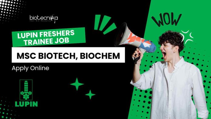 Lupin Freshers Trainee Job