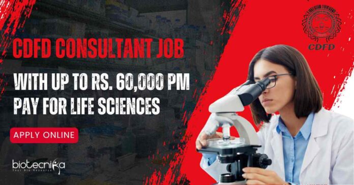 CDFD Consultant Job
