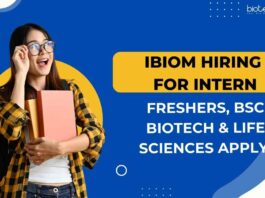 IBioM Hiring For Intern