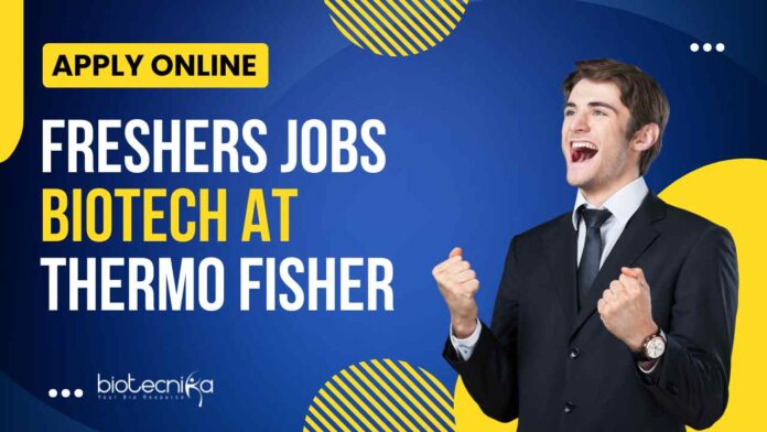Freshers Biotech Jobs at Thermo
