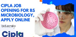 Cipla Job Opening For BSc