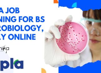 Cipla Job Opening For BSc Microbiology, Apply Online Cipla Job Opening For BSc