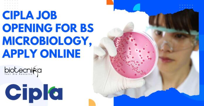 Cipla Job Opening For BSc