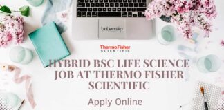 Hybrid BSc Life Science Job