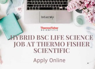 Hybrid BSc Life Science Job