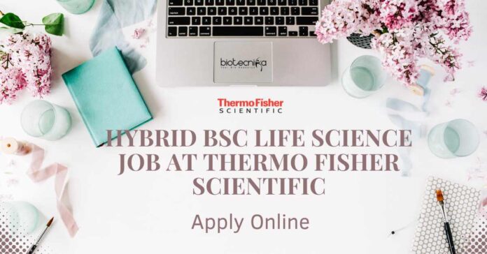 Hybrid BSc Life Science Job