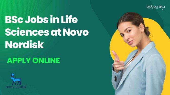 Novo Nordisk BSc Vacancies