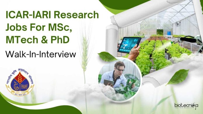 IARI Project Research Jobs For MSc