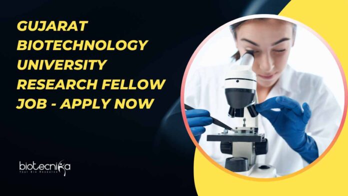 Gujarat Biotechnology University Research Fellow