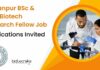 IIT Kanpur BSc & MSc Biotech Research Fellow Job, Apply Now IIT Kanpur Biotech Research Fellow
