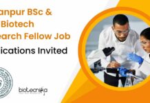 IIT Kanpur BSc & MSc Biotech Research Fellow Job, Apply Now IIT Kanpur Biotech Research Fellow