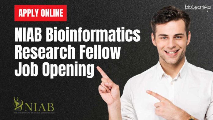 NIAB Bioinformatics Research Fellow Job