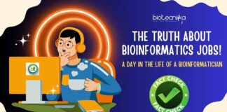 What Bioinformatics Jobs Are Really Like?