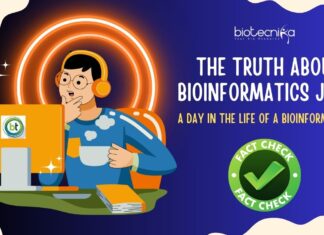 What Bioinformatics Jobs Are Really Like?