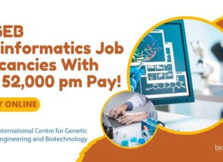 ICGEB Bioinformatics Job Vacancies