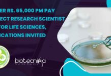 PGIMER Rs. 65,000 pm Pay Project Research Scientist Job For Life Sciences, Applications Invited PGIMER Project Research Scientist Job