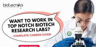 How To Get Job In Biotech Research Lab?