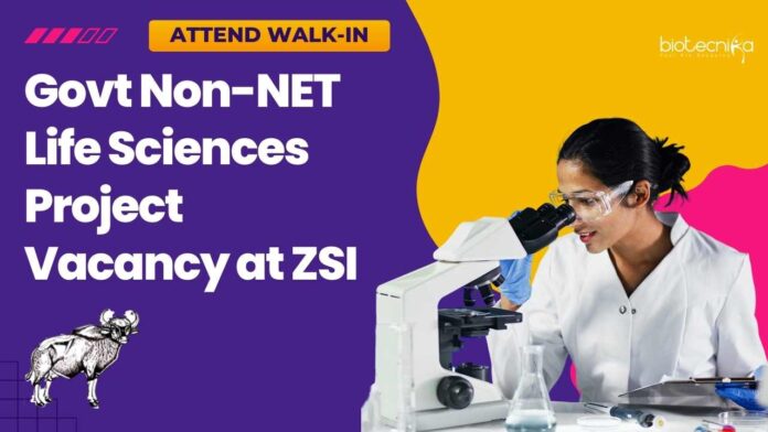 Govt Non-NET Life Sciences Project Vacancy at ZSI
