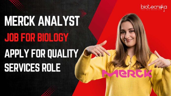 Merck Analyst Job For Biology