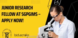 SGPGIMS Research Fellow Vacancy