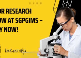 SGPGIMS Research Fellow Vacancy