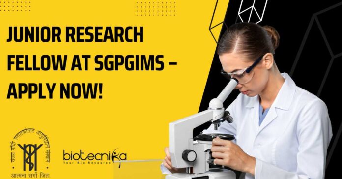 SGPGIMS Research Fellow Vacancy