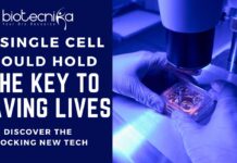 A Single Cell Could Hold The Key To Saving Lives | Discover The Shocking New Tech A Single Cell Could Hold The Key To Saving Lives