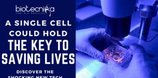 A Single Cell Could Hold The Key To Saving Lives 
