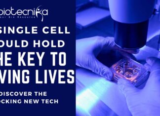 A Single Cell Could Hold The Key To Saving Lives 