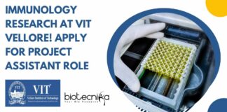 Research Jobs at VIT Vellore!