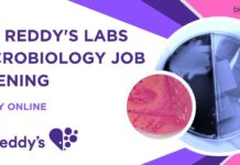 Dr. Reddy’s Labs Microbiology Job Opening – Apply Online Dr. Reddy's Labs Microbiology Job