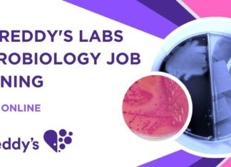Dr. Reddy’s Labs Microbiology Job Opening – Apply Online Dr. Reddy's Labs Microbiology Job