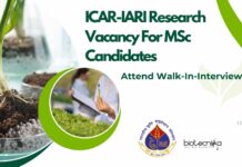 ICAR-IARI Research Vacancy For MSc