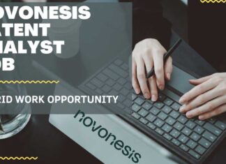 Novonesis Patent Analyst Job