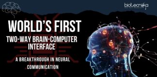 Two-Way Brain-Computer Interface