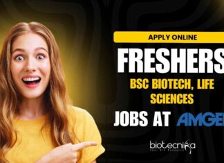 Freshers BSc Biotech Jobs