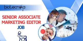 Senior Associate Marketing Editor Job