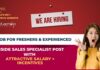 Sales Job for Freshers & Experienced