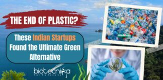 The End of Plastic? These Indian Startups Found the Ultimate Green Alternative
