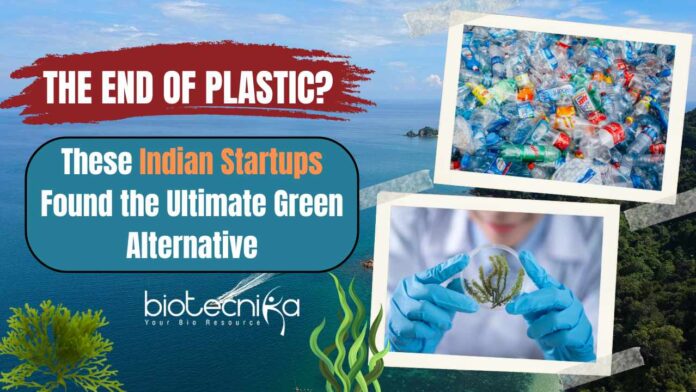 The End of Plastic? These Indian Startups Found the Ultimate Green Alternative
