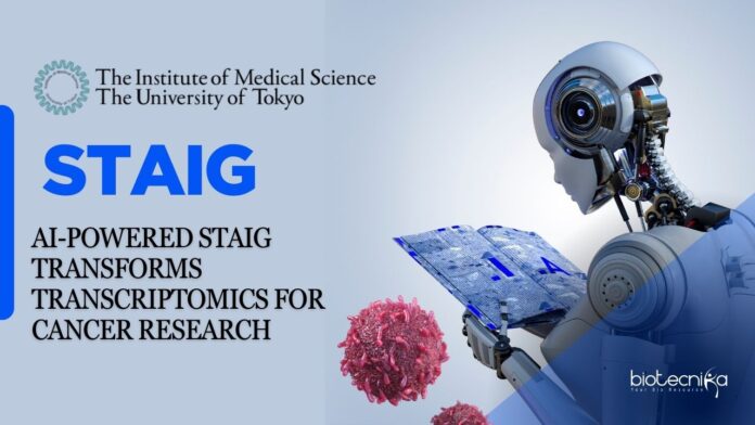 AI-Powered STAIG