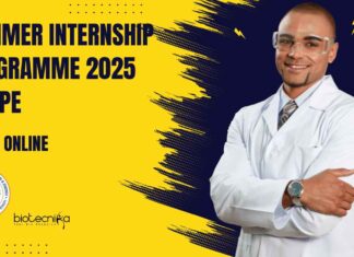 Summer Internship 2025 at IIPE