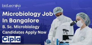 Cipla Microbiology Job Bangalore – Apply Now!